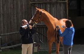 Lodge Villa Maria - Foto 29