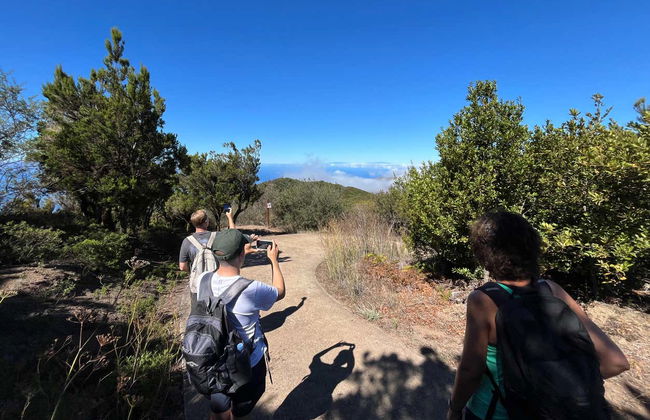Senderismo por el interior del Parque Rural de Teno - Foto 17