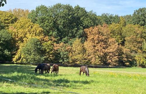 Ferienhaus am Wald - Foto 31