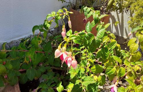 Casa Belo Horizonte - Foto 30