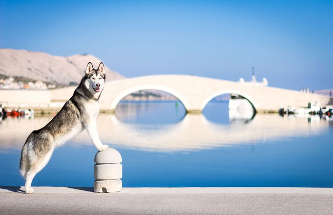 Comfy Little Couple Apartment a3 - Foto 20