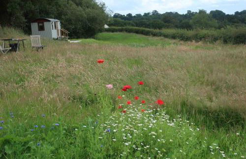 Little Idyll shepherds hut - Photo 1