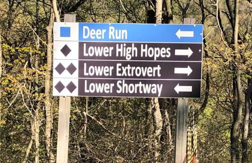 Blue Knob Bear Den (Nordic Center/Golf Course) - Foto 37