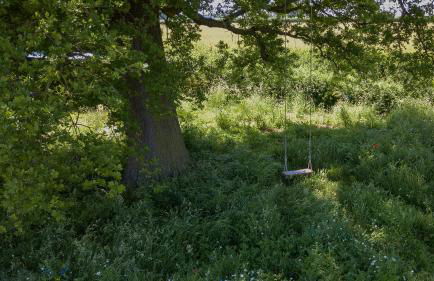 Wellbeing Orchard - Foto 16