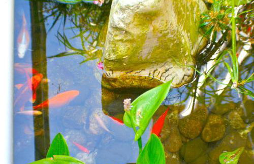 zentral club apartamento protón-jacuzzi - Foto 57