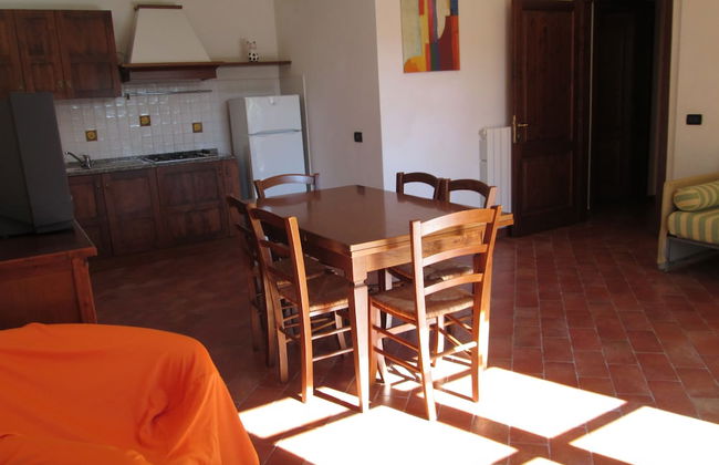 Fattoria La Steccaia - Foto 20