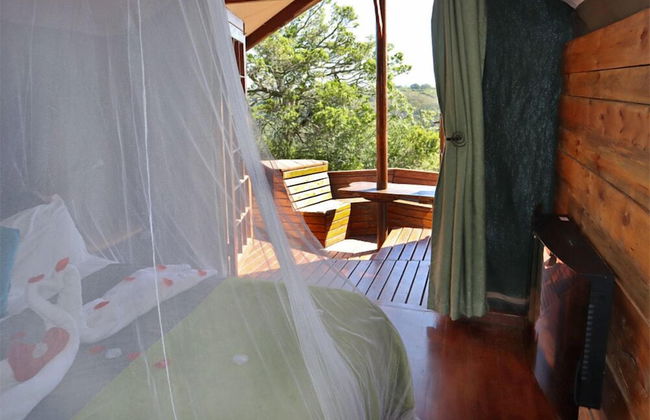 Teniqua Treetops - Foto 15