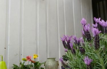 Aquarius Rome Apartments - Photo 30