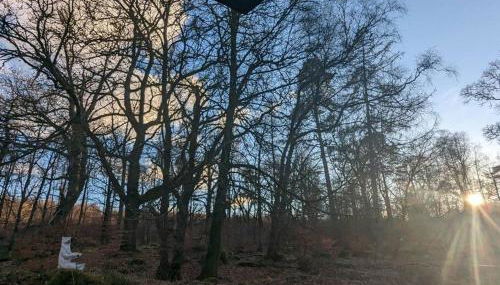 Westmains Lodge - Photo 3