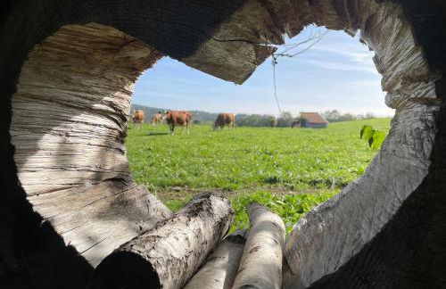 Biobauernhof Benihof - Ferienwohnung Alpenblick - Foto 20