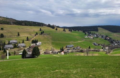 Ferienwohnung Ausklang - Todtnauberg, Feldberg - Foto 16