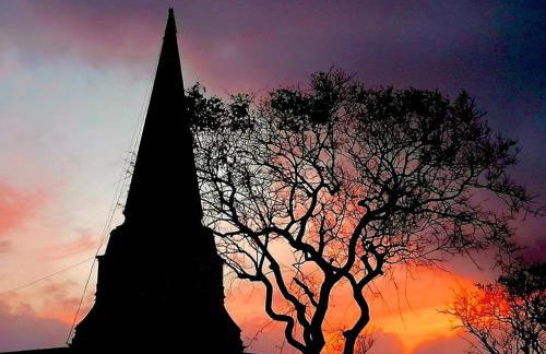 Casa Às Oito - Photo 50