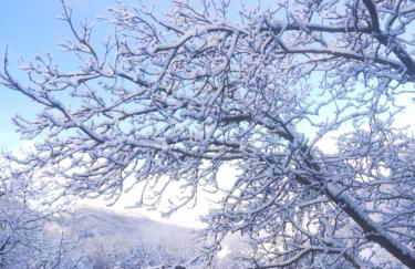 Agriturismo Malvista - Foto 18