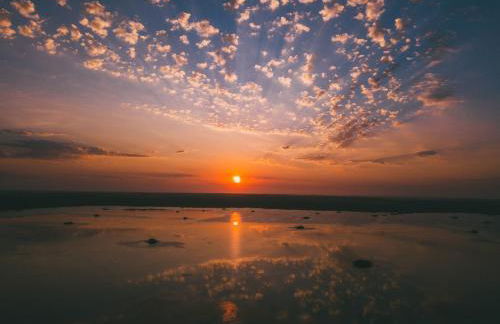 La Cabosse - Foto 17