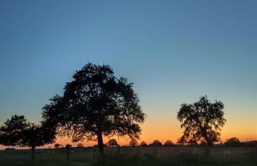 Les hirondelles - Foto 44