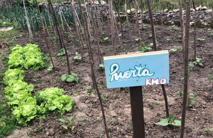 La Galayca - Foto 19