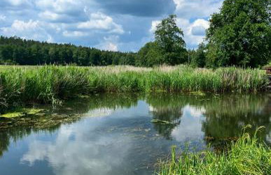 Dom Kozia Górka - dom w sercu Puszczy Knyszyńskiej, dostępna bania z jacuzzi za dodatkową opłatą - jacuzzi available for an extra fee - Foto 40