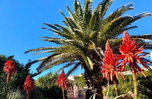 Villa Ginestra - Foto 19