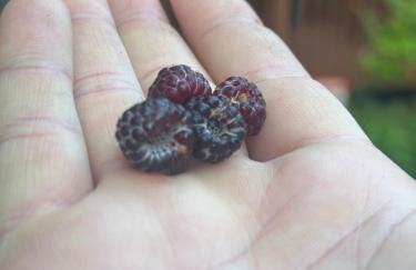 Cozy North GA Cabin 3BR3BA, Fire Pit & Game Rm - Foto 46