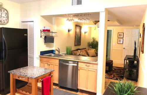 2 Bedroom Apt Overlooking Dunedin Town Square NO KIDS, NO PETS - Photo 30