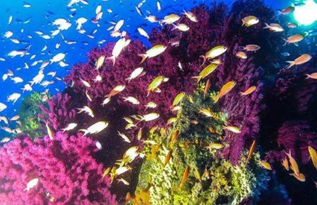 Apartment in Liguria Near Toirano Caves - Foto 23