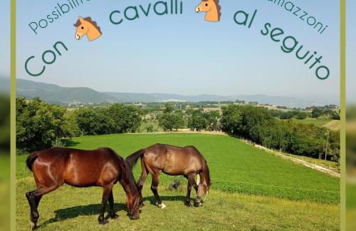 Residence Grimani - Photo 33