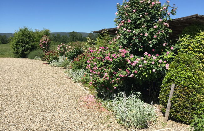 Rinidia Bio - Foto 66