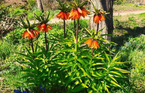 Die Malche Gäste und Tagungshaus 27 - Foto 11