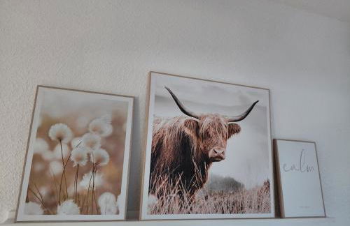 Gemütliche Wohnung mit Blick in die Wiesen - Foto 9