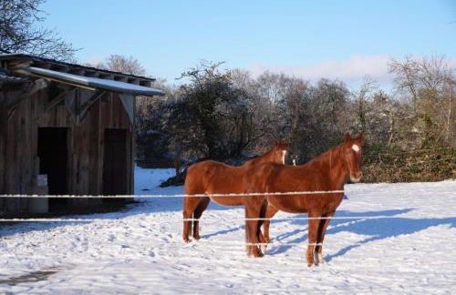 Ferienwohnung Red Horse Ranch - Foto 15