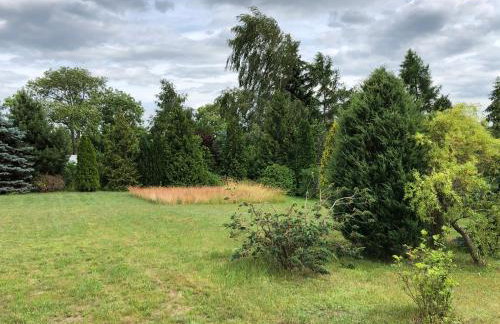 Domek całoroczny blisko lasu i morza na urokliwej działce 4300 m2 - Photo 10