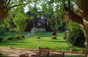 mas de karlotte - Photo 32