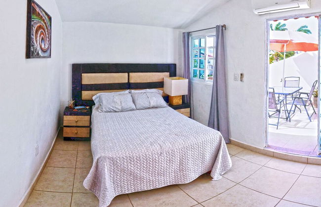 HominngBird - Foto 26