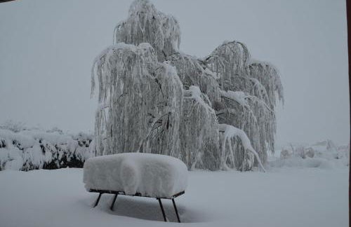 CASA EL CORRAL - Foto 23