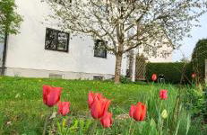 Allgäu Retreat - Foto 23