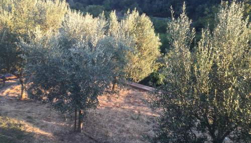 Casetta Helena - Foto 5