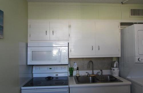 Sea Palm E - Foto 17