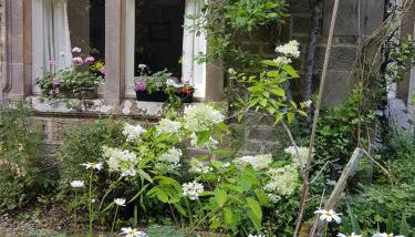 Dalvey East Lodge - Photo 4, Garden