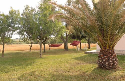 Agriturismo da Remo - Foto 62