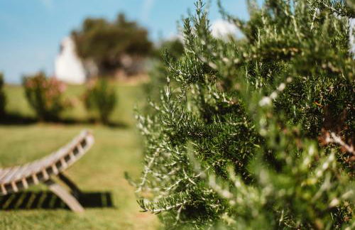 Auberge Santu Martine: Cottage with Pool (Manca) - Foto 54