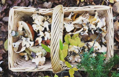 Gîte Tanagra : Maison avec piscine et vue exceptionnelle - Foto 48