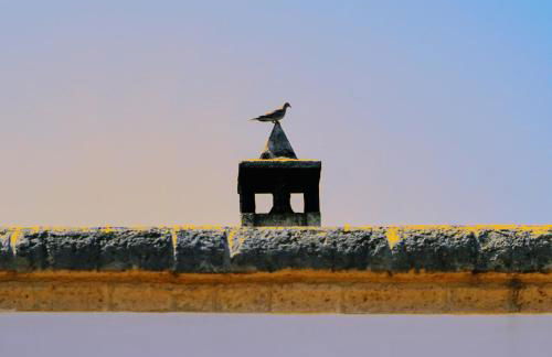 Masseria Pezze Galere Piscina privata - Foto 65