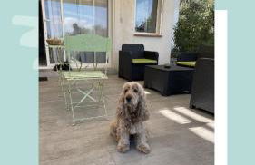 Domaine Pedra Llampada Gîtes Montagne - Photo 18