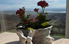 Villa Melani **** - Foto 37