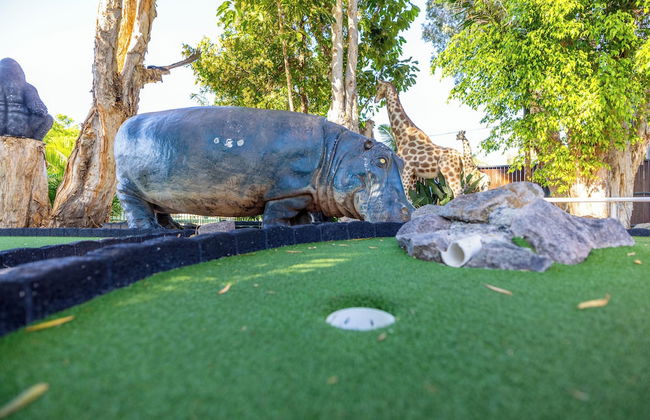 NRMA Blue Dolphin Yamba Holiday Resort - Foto 78