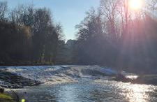 Le Moulin de L'O - L'Orle Rose - Foto 30