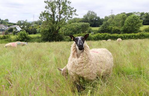 Under Oak Pod - Photo 36