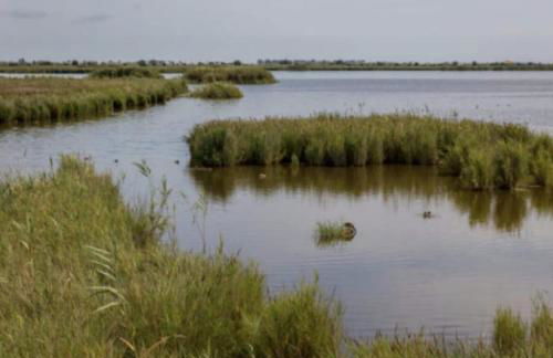 Casa Arturet - Photo 17