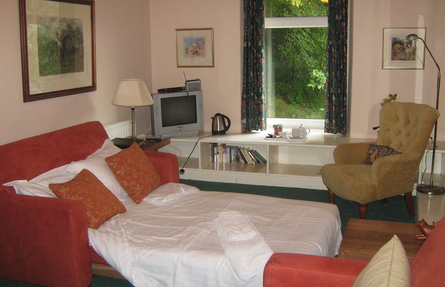 Plas Maenan Country House - Foto 4