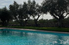 Casa de Campo, Quinta do Funchal - Foto 34